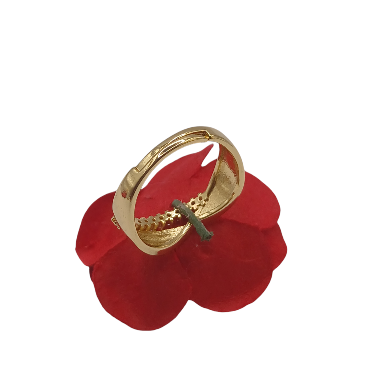 Anello Blanca